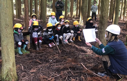 森林环境教育